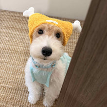 Chicken Legs Pet Outdoor Accessories