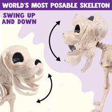 JOYIN Posable Halloween Dog Skeleton – Realistic Puppy Decor, 12.6”