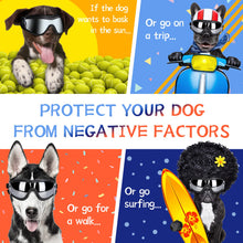 NVTED UV Wind Dust Dog Sunglasses Dog Goggles