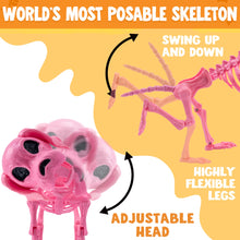JOYIN Posable Halloween Dog Skeleton – Realistic Puppy Decor, 12.6”
