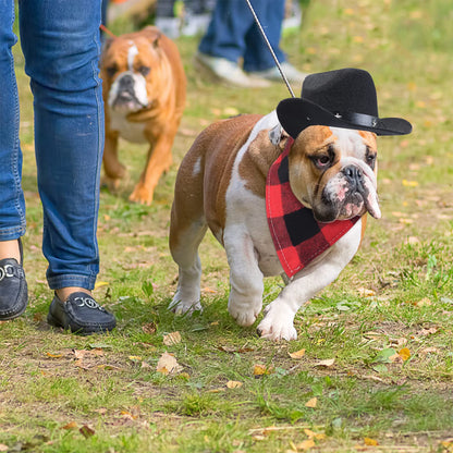 Durable and Lightweight Printed Head Bandana Cowboy Outfit for Dogs