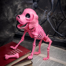 JOYIN Posable Halloween Dog Skeleton – Realistic Puppy Decor, 12.6”
