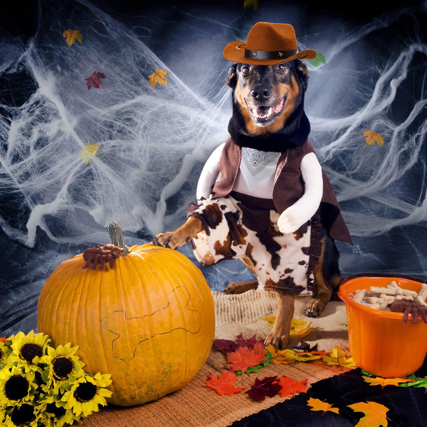 Durable and Lightweight Printed Head Bandana Cowboy Outfit for Dogs