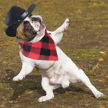 Yewong Pet Cowboy Costume – Hat & Bandana Set
