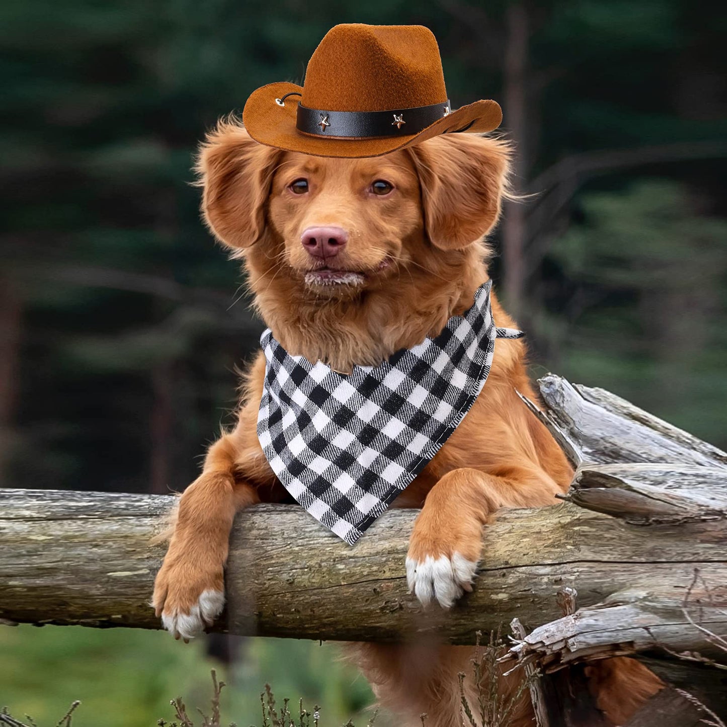 Durable and Lightweight Printed Head Bandana Cowboy Outfit for Dogs