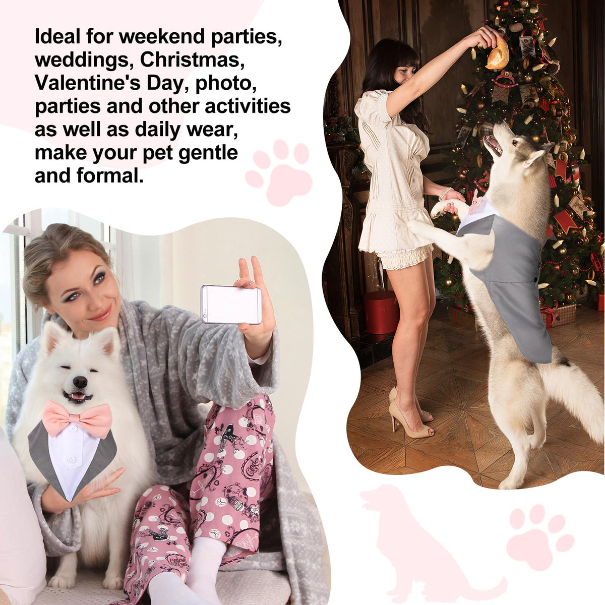 Top Quality Formal Dog Tuxedo Outfit for Weddings with Bandana