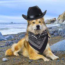 Yewong Pet Cowboy Costume – Hat & Bandana Set