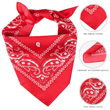 Yewong Pet Cowboy Costume – Hat & Bandana Set
