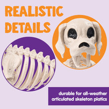 JOYIN Posable Halloween Dog Skeleton – Realistic Puppy Decor, 12.6”