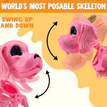 JOYIN Posable Halloween Dog Skeleton – Realistic Puppy Decor, 12.6”