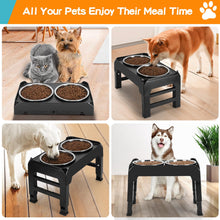 Elevated Dog Bowls with Adjustable Stand