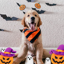 Squeaky Plush Lilfrd Halloween Pumpkin & Ghosts Toys