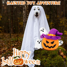 Squeaky Plush Lilfrd Halloween Pumpkin & Ghosts Toys