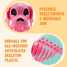 JOYIN Posable Halloween Dog Skeleton – Realistic Puppy Decor, 12.6”