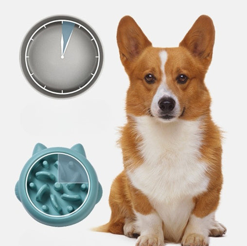Best Slow Feeder Dog Bowl for Pets and Large Breed Dogs