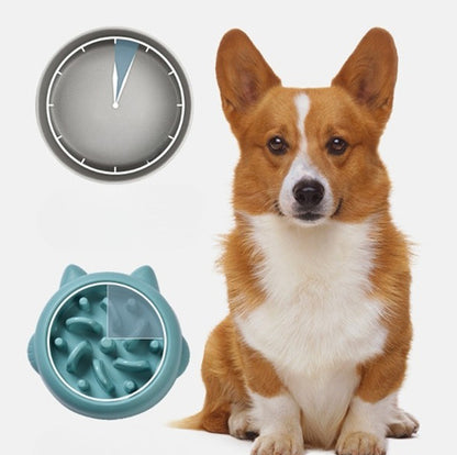 Best Slow Feeder Dog Bowl for Pets and Large Breed Dogs