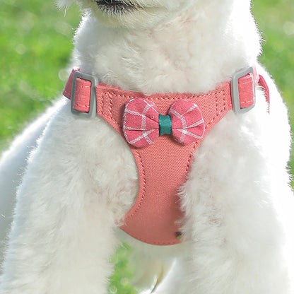 Dog Hand Holding Rope Vest Small Dog