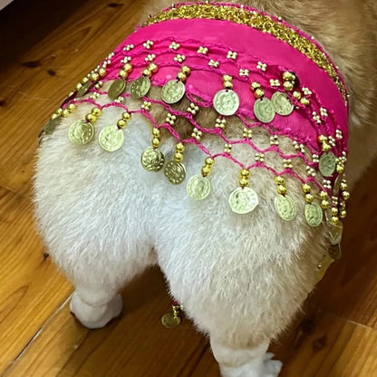 Belly Dance Fart Chain Sequined Waist Chain