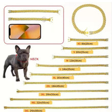 Luxury Alloy Dog Chain Sparkling  Metal Chain