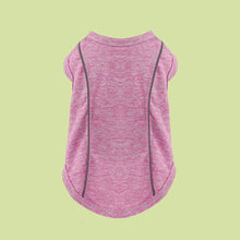 Pomeranian Pug Small Dog Night Reflective Stripe Clothing