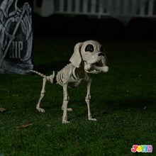 JOYIN Posable Halloween Dog Skeleton – Realistic Puppy Decor, 12.6”