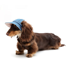 Pet Wild Cowboy Sun Protection Hat