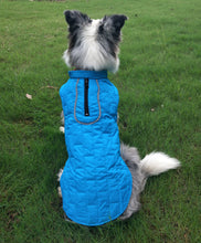 Autumn And Winter Pet Clothes Double Color Checker