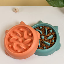 Pet Anti Choking Slow Feeder Dish Bowl