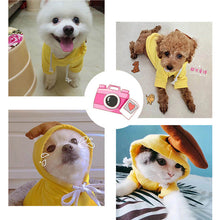 Cute Fruit  Small  Dog Clothes For Winter