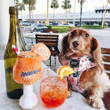 Chew Squeaky Dog Toys Cute Pet Dog