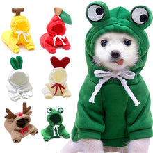 Cute Fruit  Small  Dog Clothes For Winter