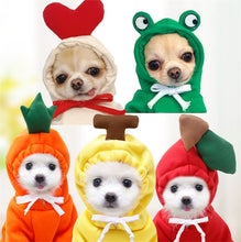 Cute Fruit  Small  Dog Clothes For Winter