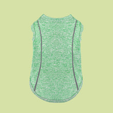 Pomeranian Pug Small Dog Night Reflective Stripe Clothing