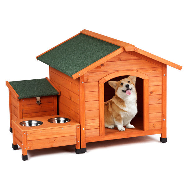 Green Asphalt Roof Golden Red Main Body Dog House