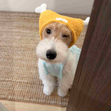 Chicken Legs Pet Outdoor Accessories