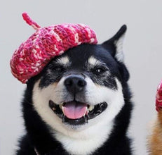 DIY Mini Mixed Color Hand-knitted Beret Cute Pet