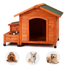 Green Asphalt Roof Golden Red Main Body Dog House