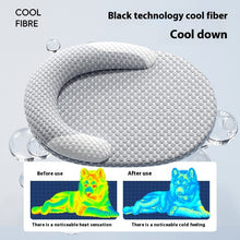 Pet Mat Removable And Washable Mat