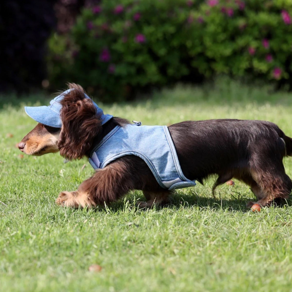 Pet Wild Cowboy Sun Protection Hat
