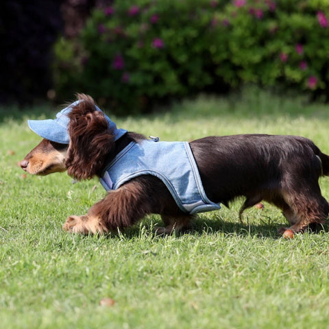 Pet Wild Cowboy Sun Protection Hat