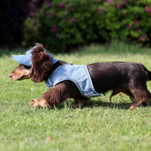 Pet Wild Cowboy Sun Protection Hat