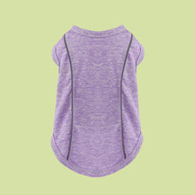 Pomeranian Pug Small Dog Night Reflective Stripe Clothing