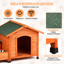 Green Asphalt Roof Golden Red Main Body Dog House