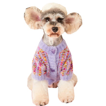 Autumn And Winter Female Dog Colorized Sweater