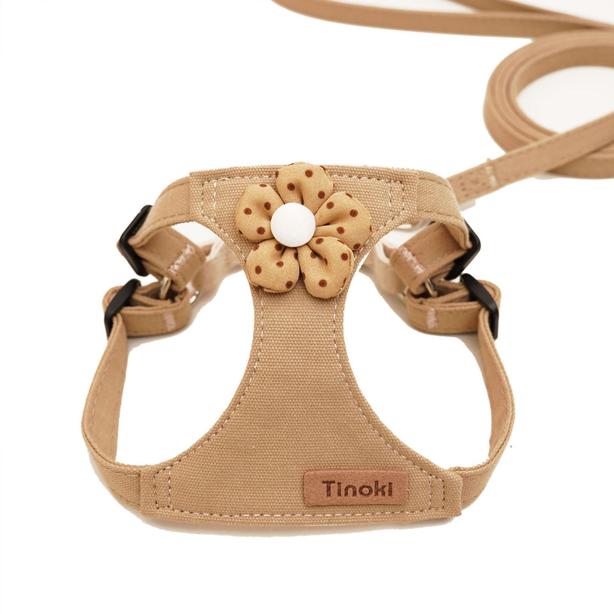 Dog Hand Holding Rope Vest Small Dog