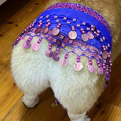 Belly Dance Fart Chain Sequined Waist Chain