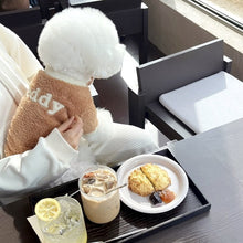 Fashion Autumn And Winter New Pet Coat