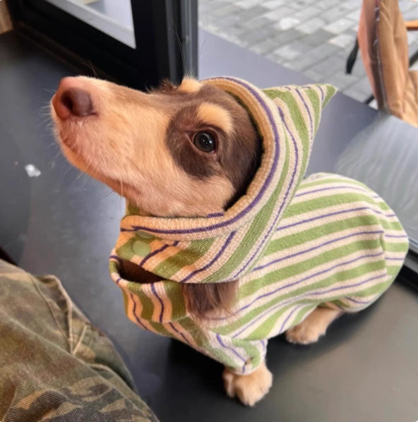 Pet Dog Autumn And Winter Vest Keep Warm