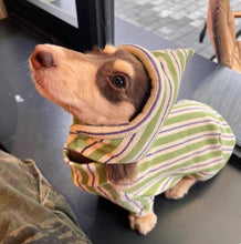 Pet Dog Autumn And Winter Vest Keep Warm