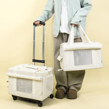 Portable Pet Trolley Double-deck Bag